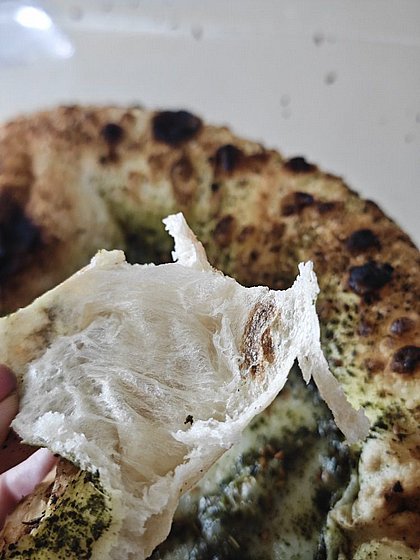 ���� ������  ����� ����� �� ������ 450 ����� ,������ ����� 13 ���� Amico Pizzaiolo --���� FAP-777