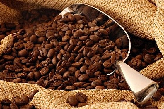 ����� ������ ��� ���� ���� ��������� ENZO BARISTA ONE 