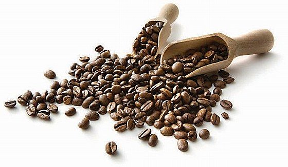 ����� ������ ��� ���� ���� ��������� ENZO BARISTA ONE 